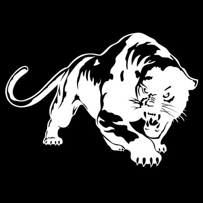 

Tailored Fiery Wild Panther Hunting Car Body Decal Car Stickers Motorcycle Decorations