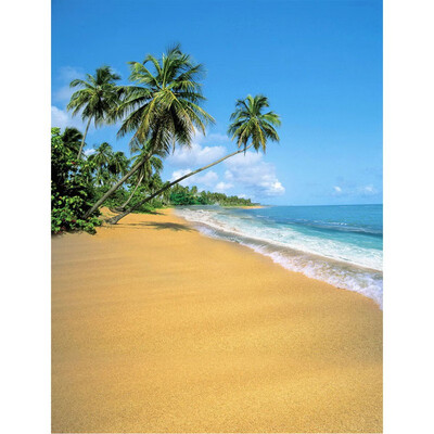 

Seaside Wall Photo Backdrop 57FT Vinyl Fabric Cloth Digital Printing Photo Background s-2397