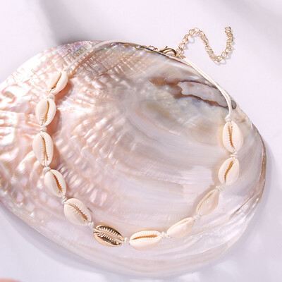 

Shell Choker Necklace Cowrie Shell Necklace Adjustable Puka Shell Necklace Bracelets Set