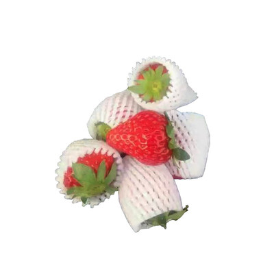 

YI WANG QING SHEN Strawberry Packaging Foam Fruit Net Set Express Anti-vibration Pearl Cotton Bag