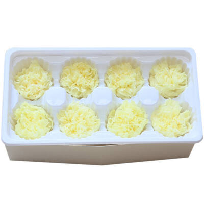 

Handmade Preserved Fresh Flowers Gift Pack Immortal Flower Eternal Carnation Heads for Gift