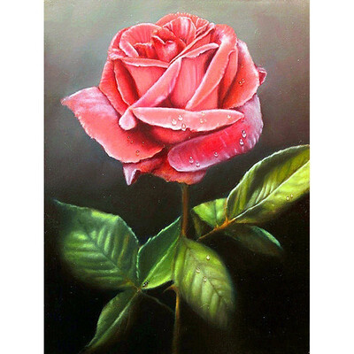 

kirinshow Diamond Mosaic Flowers Decoration Home Full Square&Round Drill Resin 5D DIY Embroidery Diamond Painting Rose