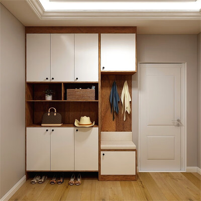 

HAOLILAIJIAJU Foyer Shoe Cabinet Fashion Simple Environmental Protection 6221