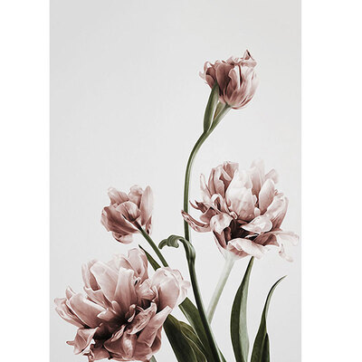 

Diy Wall Art Red Flower Art Picture Canvas Painting Home Decoration Accessories Room Decoration