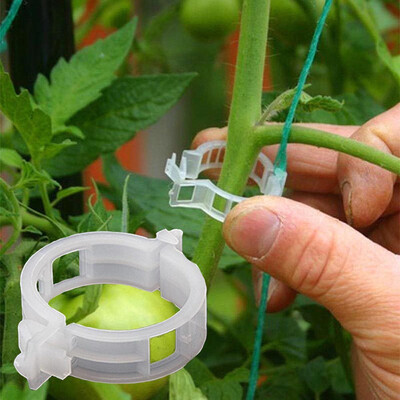 

〖Follure〗100PC Trellis Tomato Clips Supports Connects Plants Vines Trellis Twine Cages