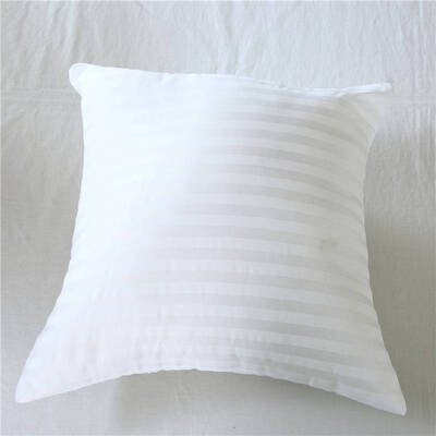 

Hypoallergenic Square Throw Pillow Insert Soft Cushion Pillow Core Inserts Stripe Pattern