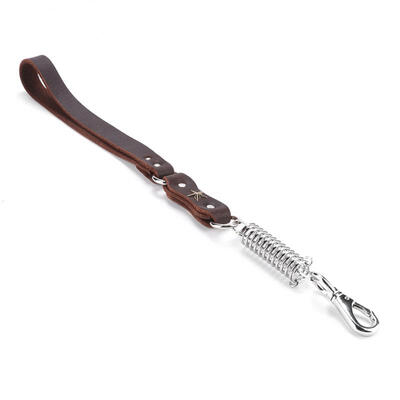 

Greensen Durable Explosion-Proof Leather Pet Spring Leash Traction Rope Chain for Dogs