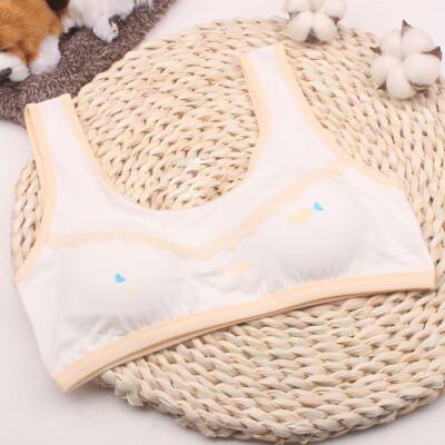 

Kids Girls Underwear Bra Vest Children Underclothes Sport Letter Print Clothes