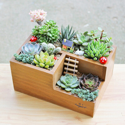 

Siaonvr Retro Style Wooden Succulent Plants Square Flower Pot Garden Handmade Plant