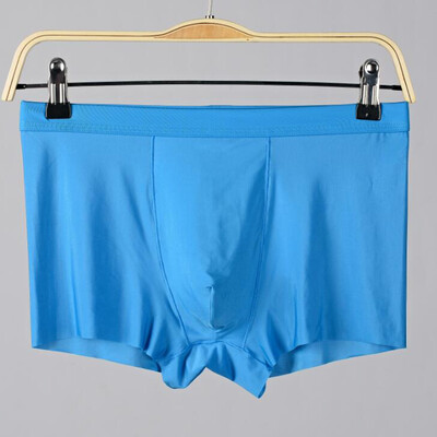 

Men Ice Silk Seamless Boxer Briefs Underwear Ultra-Thin Sexy Underpants Panties
