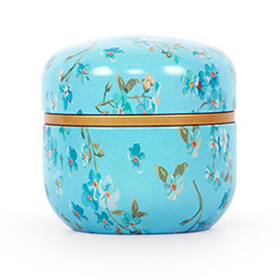 

Metal Tea Canister Tea Can Candy Sealed Storage Box Organizer Container Case New
