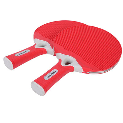 

GAI WEI portable table tennis racket 13555
