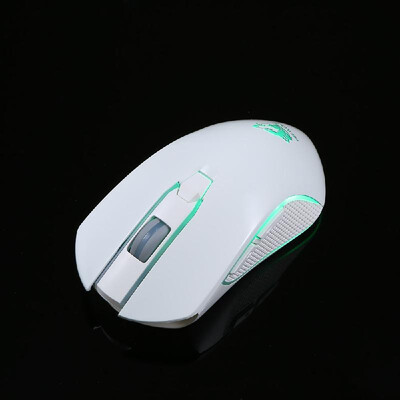 

Free Wolf Wireless Gaming Mouse with 1600DPI Silent Gaming Mice of 3 Adjustable DPI&2 Programmable Buttons with Built-in Recha