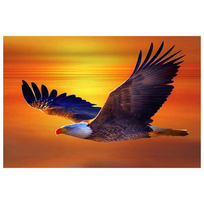 

5D DIY Full Drill Diamond Painting Flying Eagle Cross Stitch Embroidery Kit