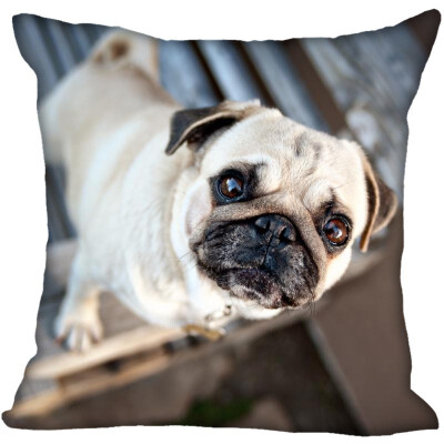 

Pug Hot Sale Pillow Case High Quality New Years Pillowcase Decorative Pillow Cover For Wedding Decorative Christmas