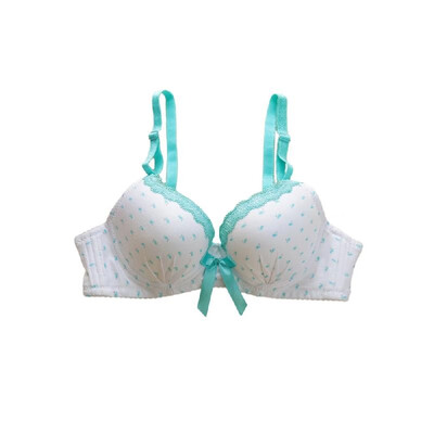

Sexy Women Girls Bra Animal Print Lace Bow 34 Cups Push Padded Adjustable Straps Underwire Lingerie Underwear BluePinkPurple