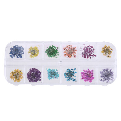 

12pcsbox Nail Art Real Dried Flowers 3D Nail Sticker for Nail Decoration