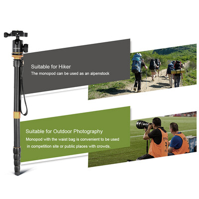 

Andoer Professional Foldable Detachable Adjustable Photography Digital Camera Camcorder Video Tripod Monopod Ball Head for Canon N