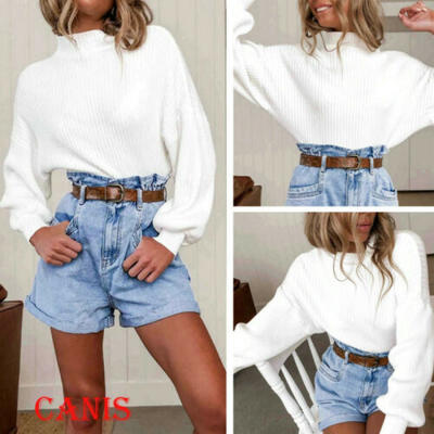 

Womens Autumn Long Sleeve Round Neck Pullover Blouse Tops T Shirt Casual