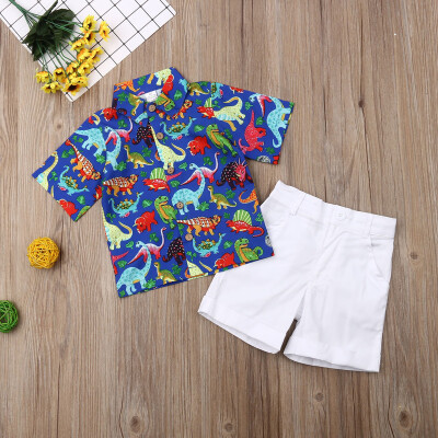 

Newborn Baby Boys Dinosaur Floral Tops Shirts Short Pants Set Outfits Clothes