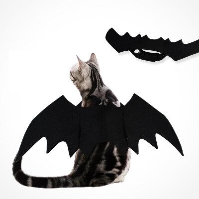 

Halloween Pet Bat Costume Cat Bat Costume for Halloween Pet Fancy Dress for Cats Small Dogs