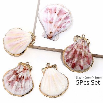 

5 Pcs Gold Plated Sea Shells For Jewelry Fashion DIY Handmade Home Decor Natural Shell Craft Accessories Ornaments