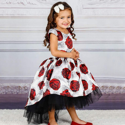 

Toddler Kid Baby Girls Flower Print Princess Party Performance Formal Tutu Dress