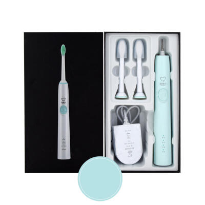 

GOODPI Adult Family Packed Soft Hair Electric Toothbrush