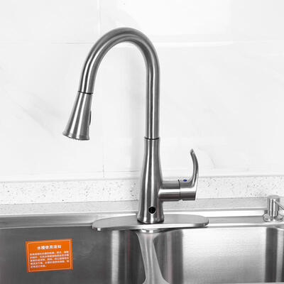 

Greensen 916" Single-Handle Touch Kitchen Sink Faucet with Pull Down Sprayer with Holder