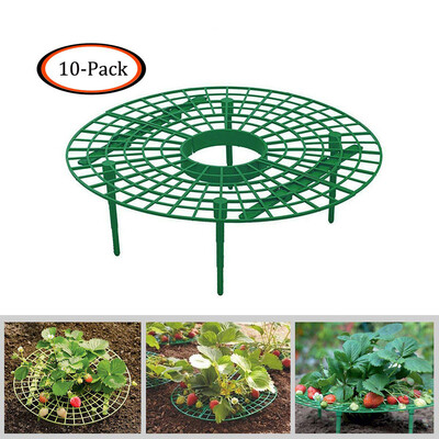 

Gobestart Strawberry Plant Growing Supports Keep Strawberries Off Rot in the Rainy Days