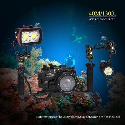 

Sea frogs SL-21 LED Diving Light Underwater Photography Fill-in Lamp 2pcs LEDs Aluminum Alloy 40M Waterproof IPX8 with WhiteStron