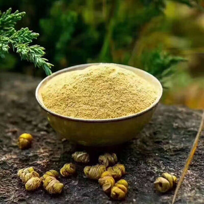 

Organic Wild Natural Shihu Herbal Dendrobii Dendrobium Stem Powder Chinese Herb