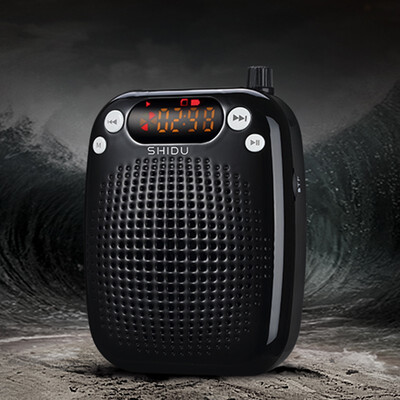 

Wireless loudspeaker