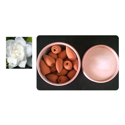 

〖Follure〗25pcs Smoke Tower Cones Bullet Backflow Incense Hollow Cone