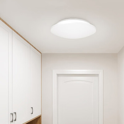 

10W Mini LED Ceiling Light for Home AC 220 - 240V