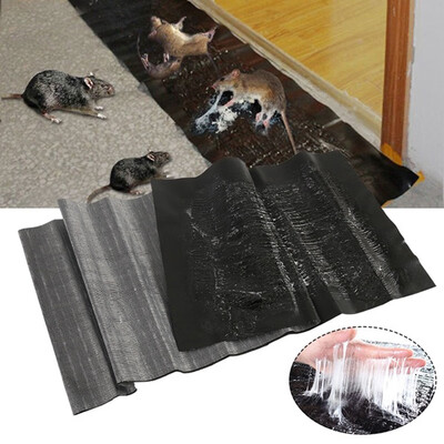 

Mice Killer Traps Board Mouse Glue Max Strong Sticky Mouse & Rat Glue Snare Rodent Trap catch Mouse