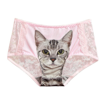

Womens 3D Cat Print Transparent Panties Sexy Lace Gauze Patchwork Panties Thin Light Seamless Underwear Briefs