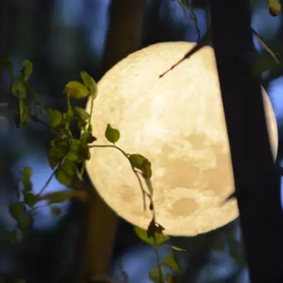 

Gobestart 3D USB LED Magical Moon Night Light Moonlight Table Desk Moon Lamp Gift 13cm