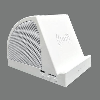 

Portable Bluetooth Speaker With Wireless Charger Fast Wireless Charging Docking Station Stand