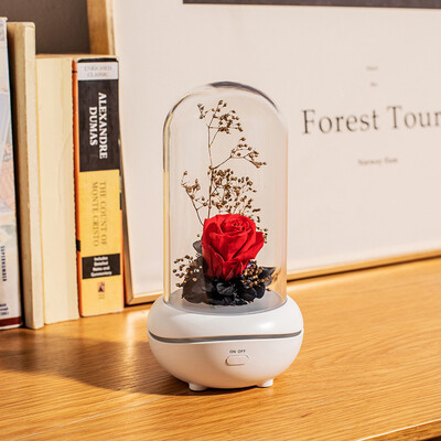 

〖Follure〗Eternal Flower USB Essential Oil Aromatherapy Machine Mini HomeCar Aromatherapy