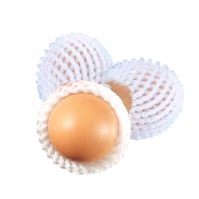

YI WANG QING SHEN Strawberry Packaging Foam Fruit Net Set Express Anti-vibration Pearl Cotton Bag
