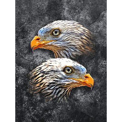 

Diamond Painting With Square Stones Birds Diamond Embroidery Sale Bird Diamond Mosaic Sale Rhinestones Pictures Beadwork
