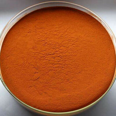 

Premium Organic Natural Pure Black Tea Powder 100 Soluble Instant No Filters