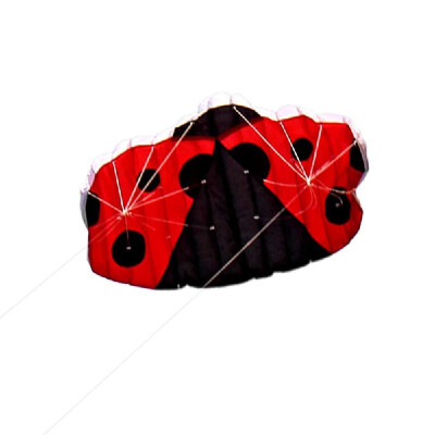 

140 x 74cm Frameless Soft Dual Line Stunt Ladybird Parafoil Kite Huge Parachute Sports Beach Flying Kite