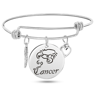 

12 Constellation Wire Stainless Steel Bracelet Birthstone Bangle Bracelets Charm Bracelet