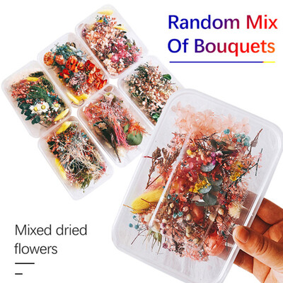 

Gobestart 1 Box Real Dried Flower Dry Plants for Aromatherapy Making Craft DIY Accessories