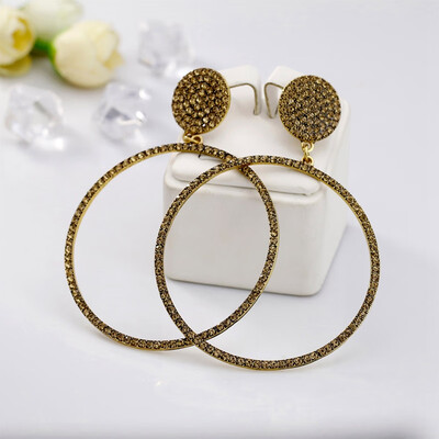 

New Luxury Exquisite Big Round Rhinestone Earrings for Women Girls Wedding Jewelry Fashion Dangle Earrings Wholesale