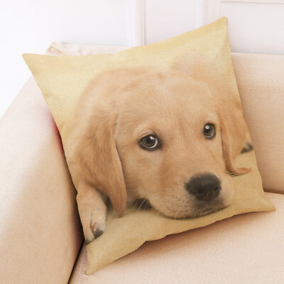

〖Follure〗Cute Animal Pillow Cover Throw Pillow Case Sofa Cushion Cover Home Decor 18