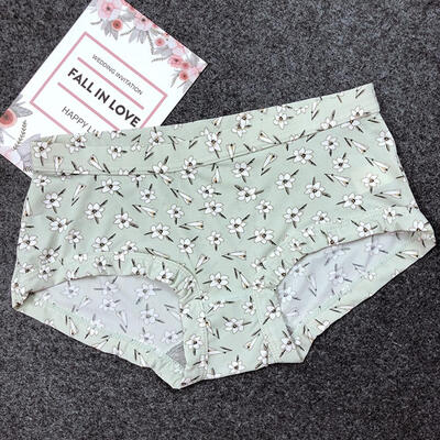

Panties for Women Ice Silk Sexy Lingerie Low Waist Print Underwear Girl Casual Briefs Female Underpants Ladies Panty