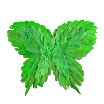 

Colorful Butterfly Wings Feather Angel Wing Kids Fairy Angel Wing Stage Performance Props Cosplay Carnival Party Supplies